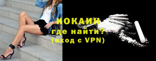 эйфоретик Гусь-Хрустальный