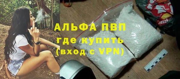 эйфоретик Гусь-Хрустальный