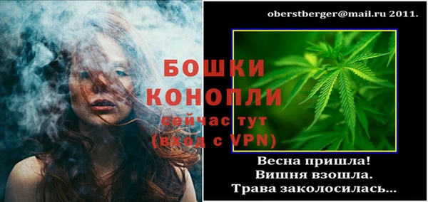 эйфоретик Гусь-Хрустальный