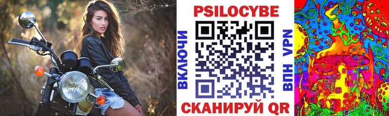 Галлюциногенные грибы Psilocybe  где можно купить   Камышин 